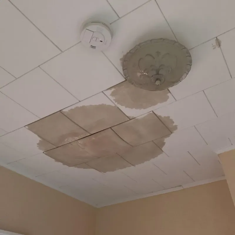 Ceiling Water Damage Repair in Red Oak, NC