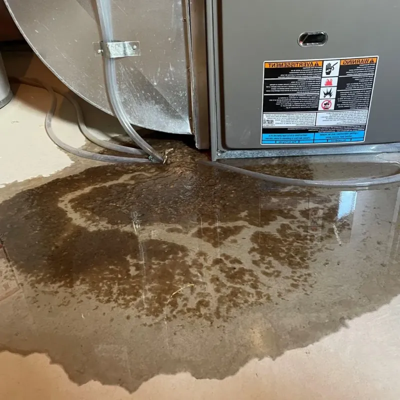 Pipe Burst and Leak Restoration in Red Oak, NC