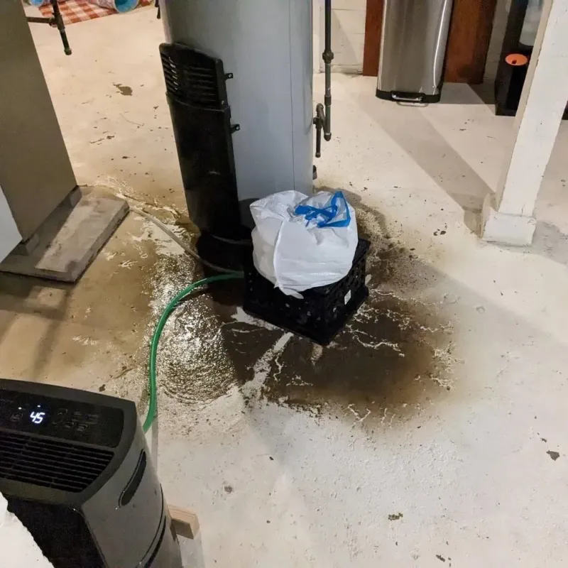 Sewage Backup Cleanup Service in Red Oak, NC